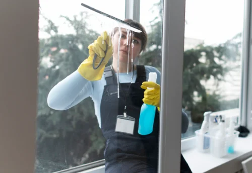 Nettoyage de vitres intérieures et extérieures à Brimont